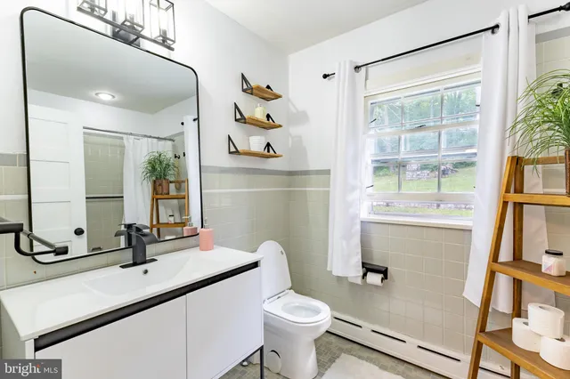 a view of a yard with plants