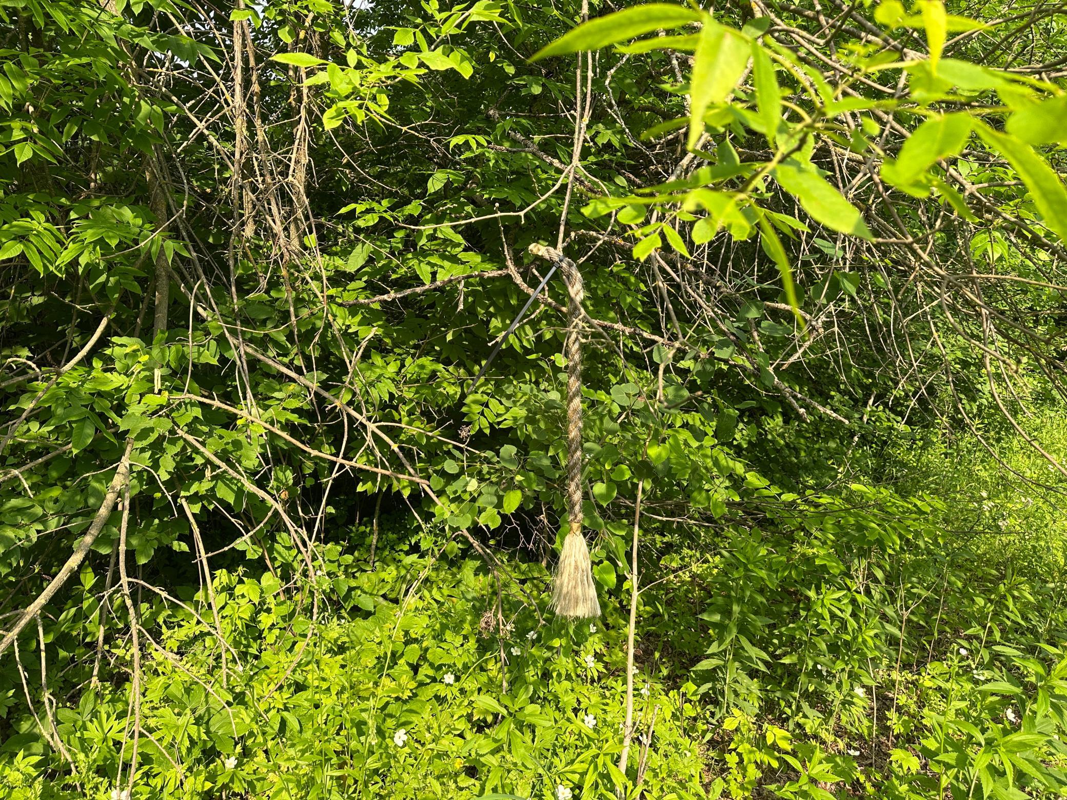 38953 Ada Beach Road Ponsford, MN 56575 - Photo 26 of 94