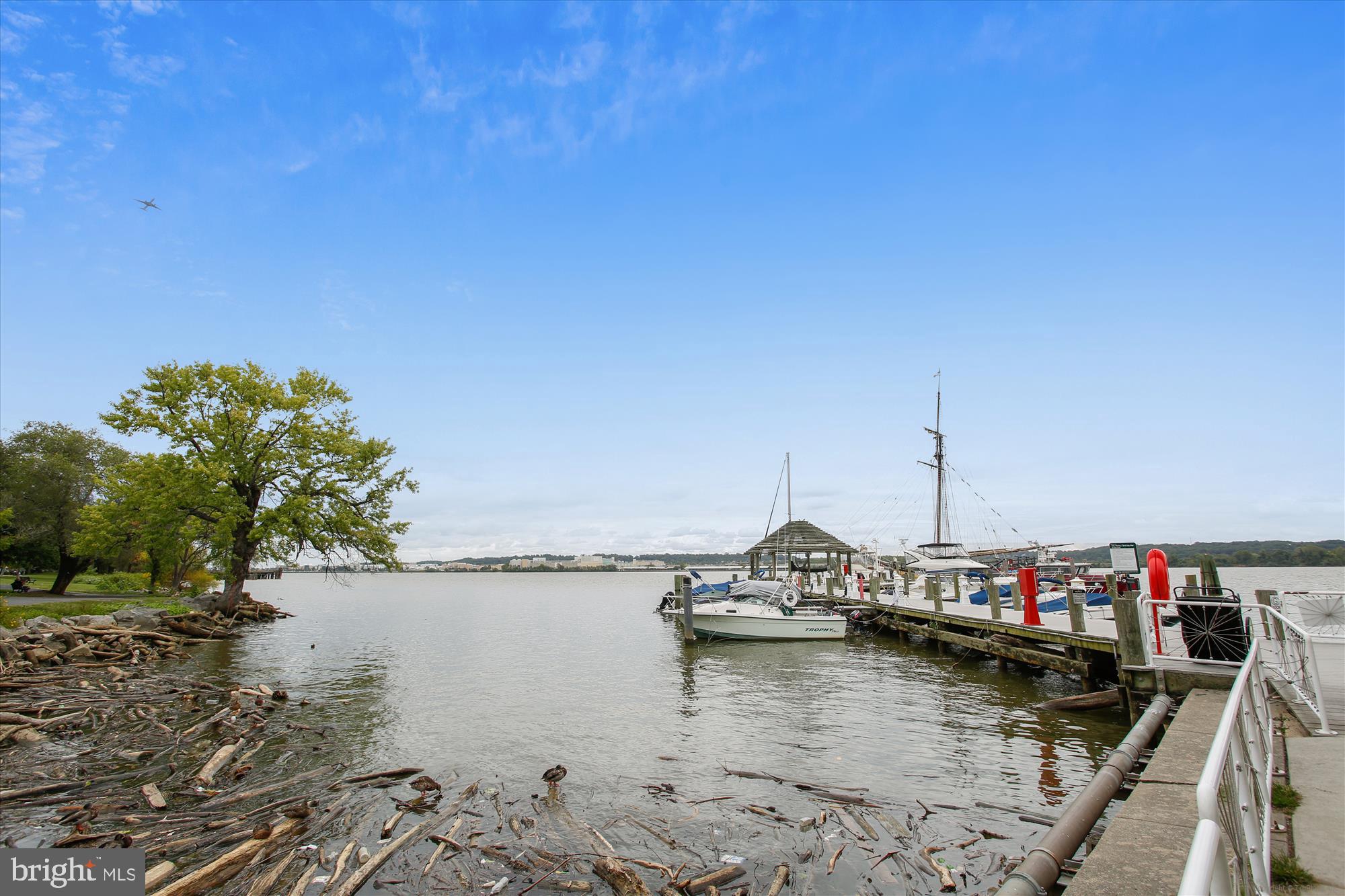 1117 Portner Road Alexandria, VA 22314 - Photo 60 of 67 Alexandria Waterfront