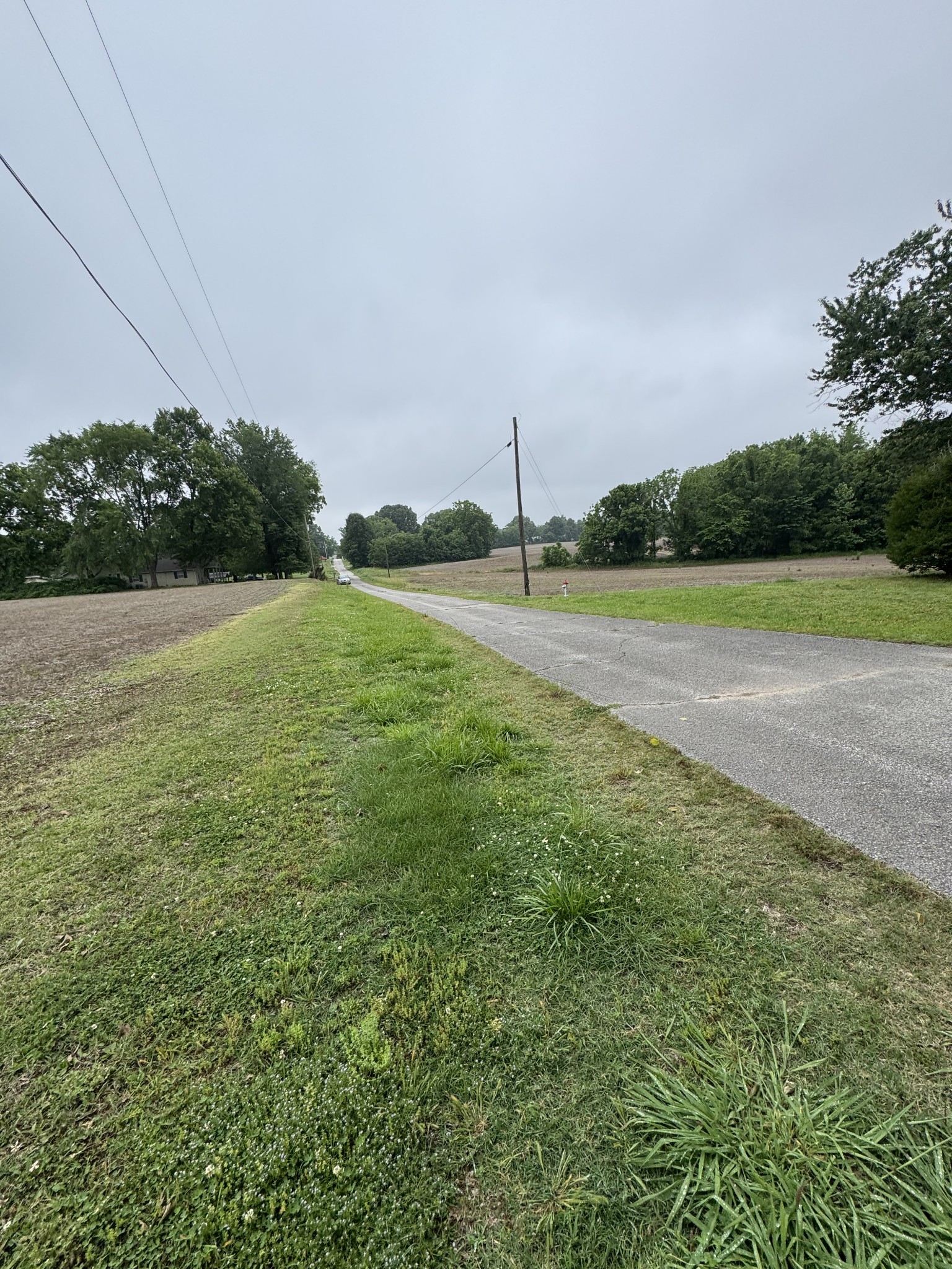 325 Harts Mill Road Atwood, TN 38220 - Photo 9 of 44