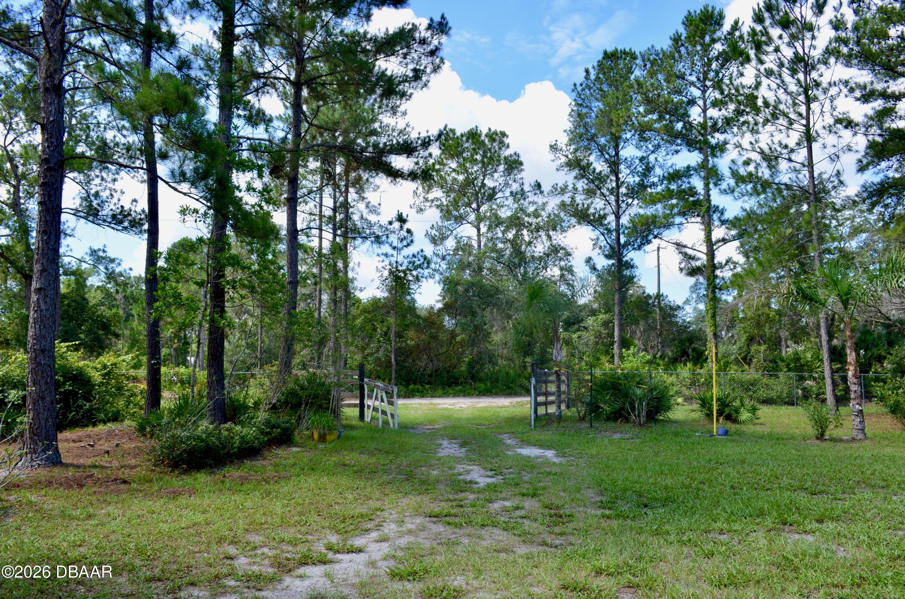 33135 Forest Ridge Road DeLand, FL 32720 - Photo 2 of 24 DSC_3235