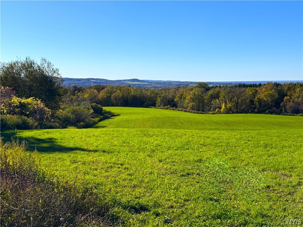 Graffenburg Road New Hartford, NY 13413 - Photo 16 of 29