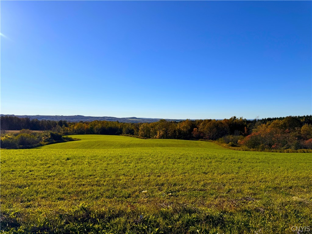 Graffenburg Road New Hartford, NY 13413 - Photo 4 of 29
