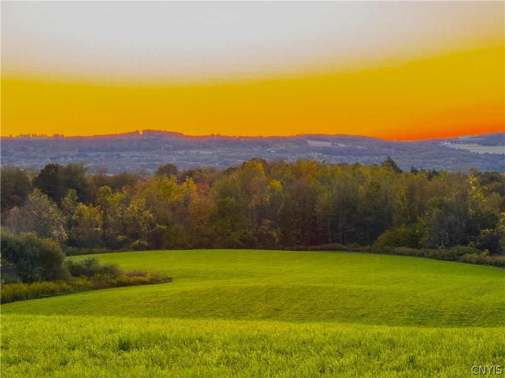 Graffenburg Road New Hartford, NY 13413 - Photo 7 of 29