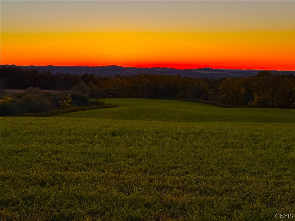 Graffenburg Road New Hartford, NY 13413 - Photo 10 of 29