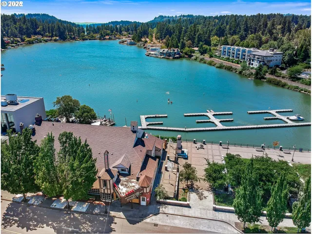 an aerial view of a house with a lake view