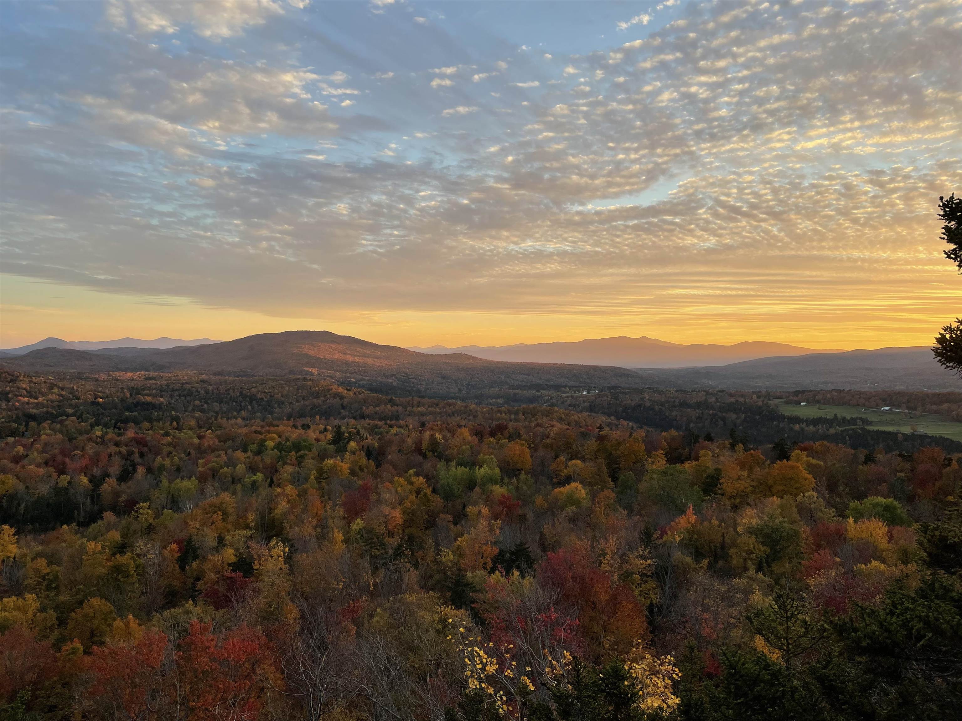 1058 N Road Eden, VT 05653 - Photo 4 of 24