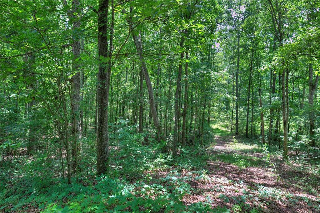 174 East Hermitage Road Northeast Rome, GA 30161 - Photo 1 of 1 a view of outdoor space and green space