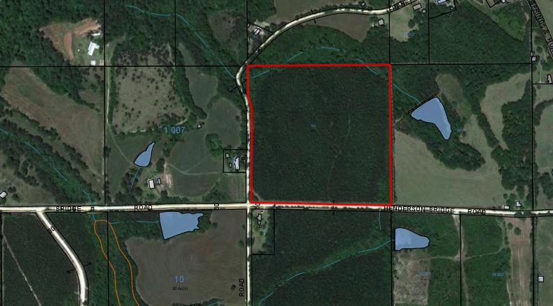 40-ac Henderson Bridge Road Opp, AL 36467 - Photo 1 of 26 an aerial view of a house