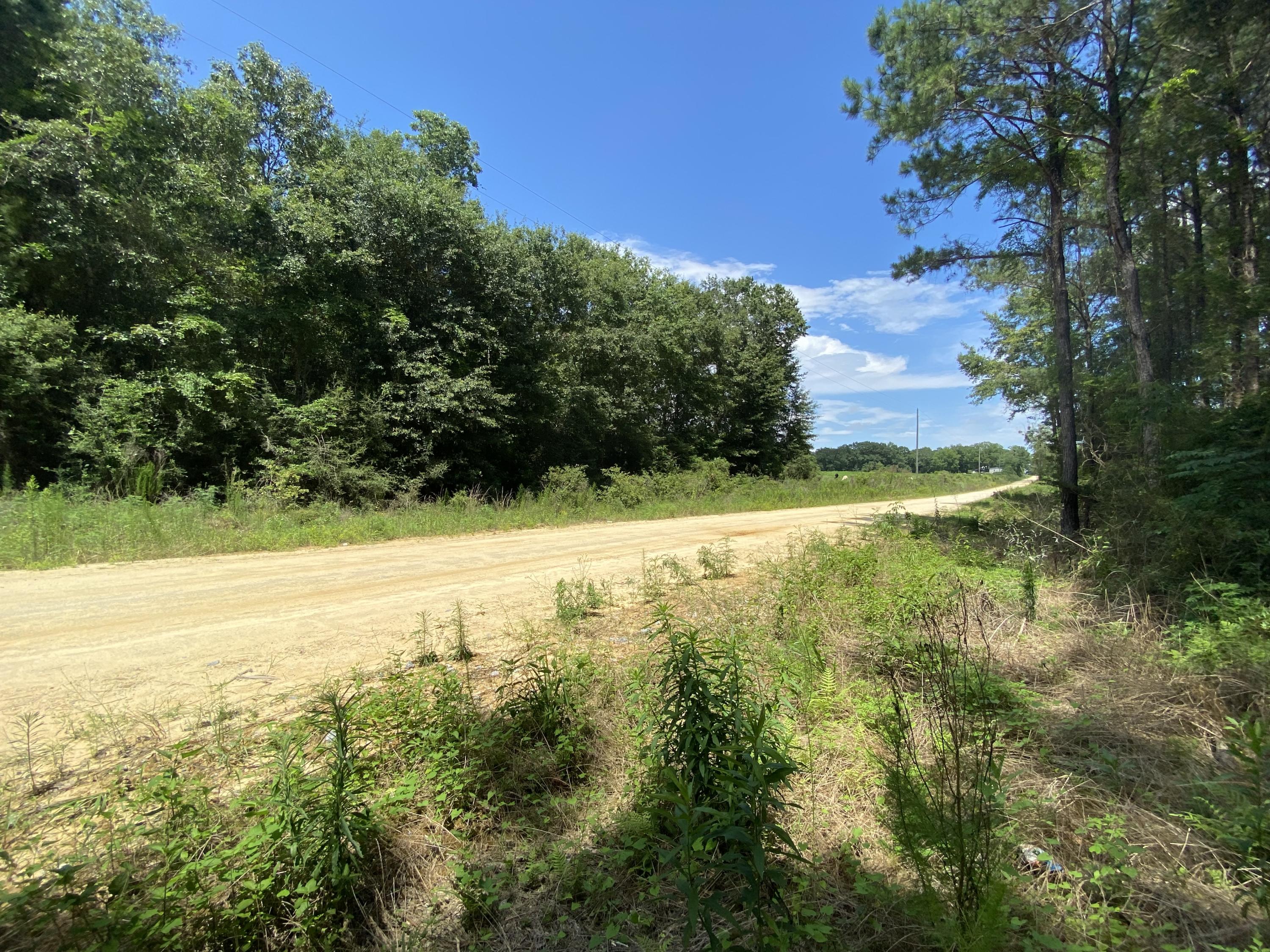 40-ac Henderson Bridge Road Opp, AL 36467 - Photo 11 of 26 a view of an outdoor space and a yard