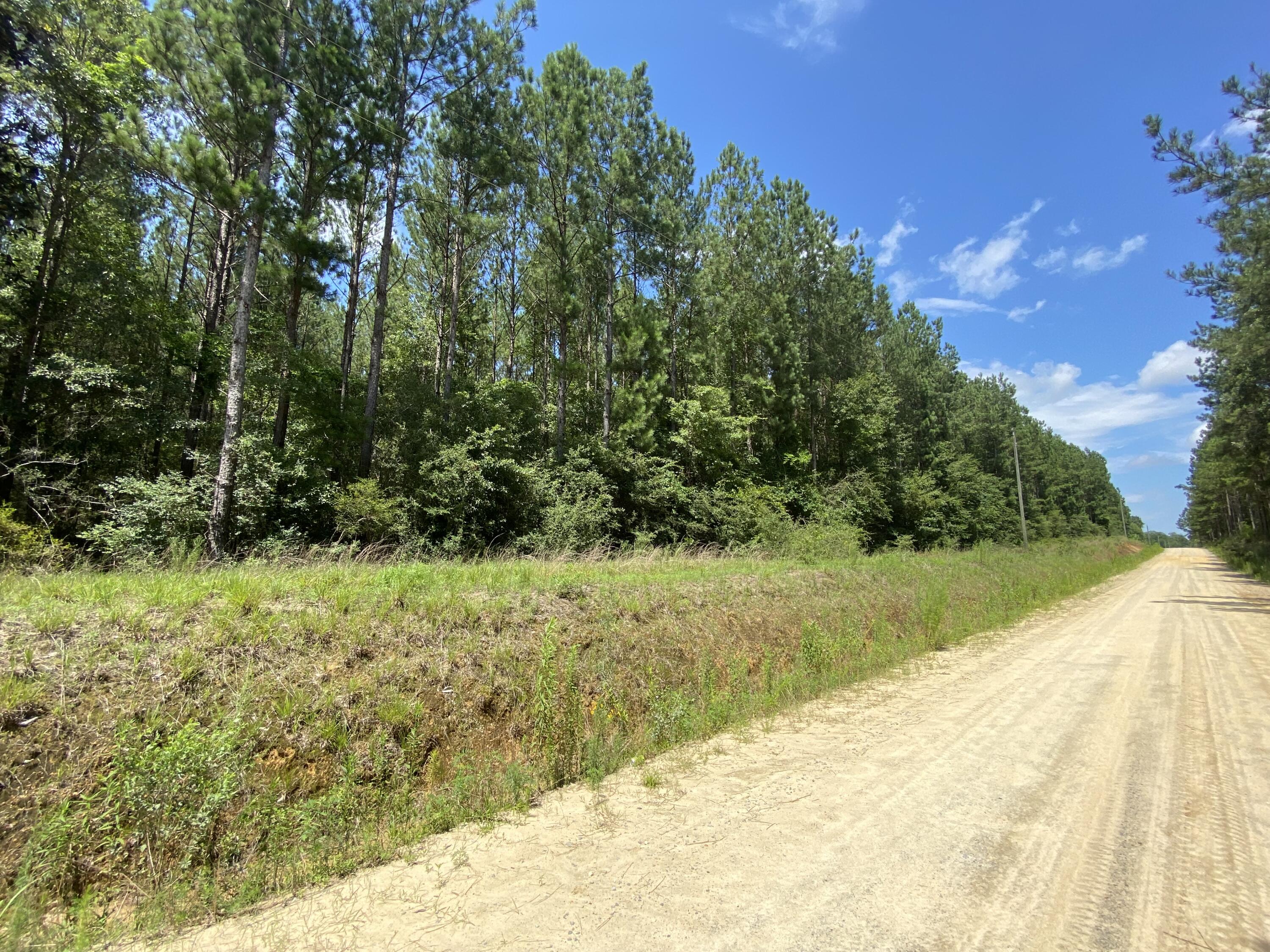 40-ac Henderson Bridge Road Opp, AL 36467 - Photo 15 of 26 a view of a yard with an outdoor space