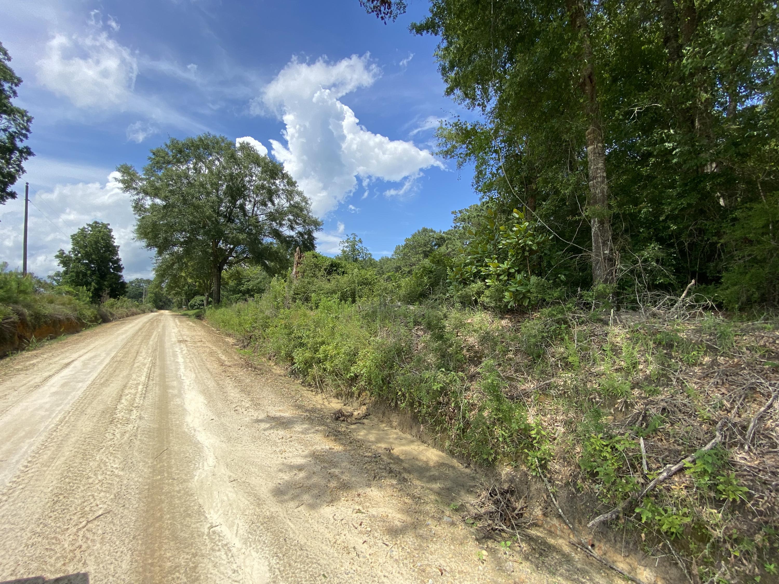 40-ac Henderson Bridge Road Opp, AL 36467 - Photo 16 of 26 a view of a yard in a yard