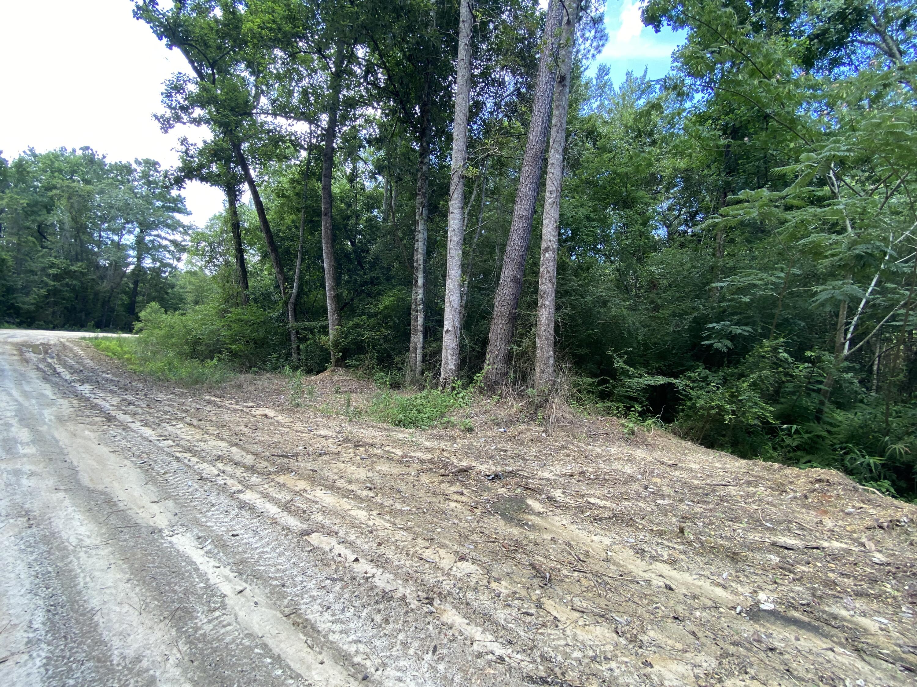 40-ac Henderson Bridge Road Opp, AL 36467 - Photo 17 of 26 a view of backyard with green space