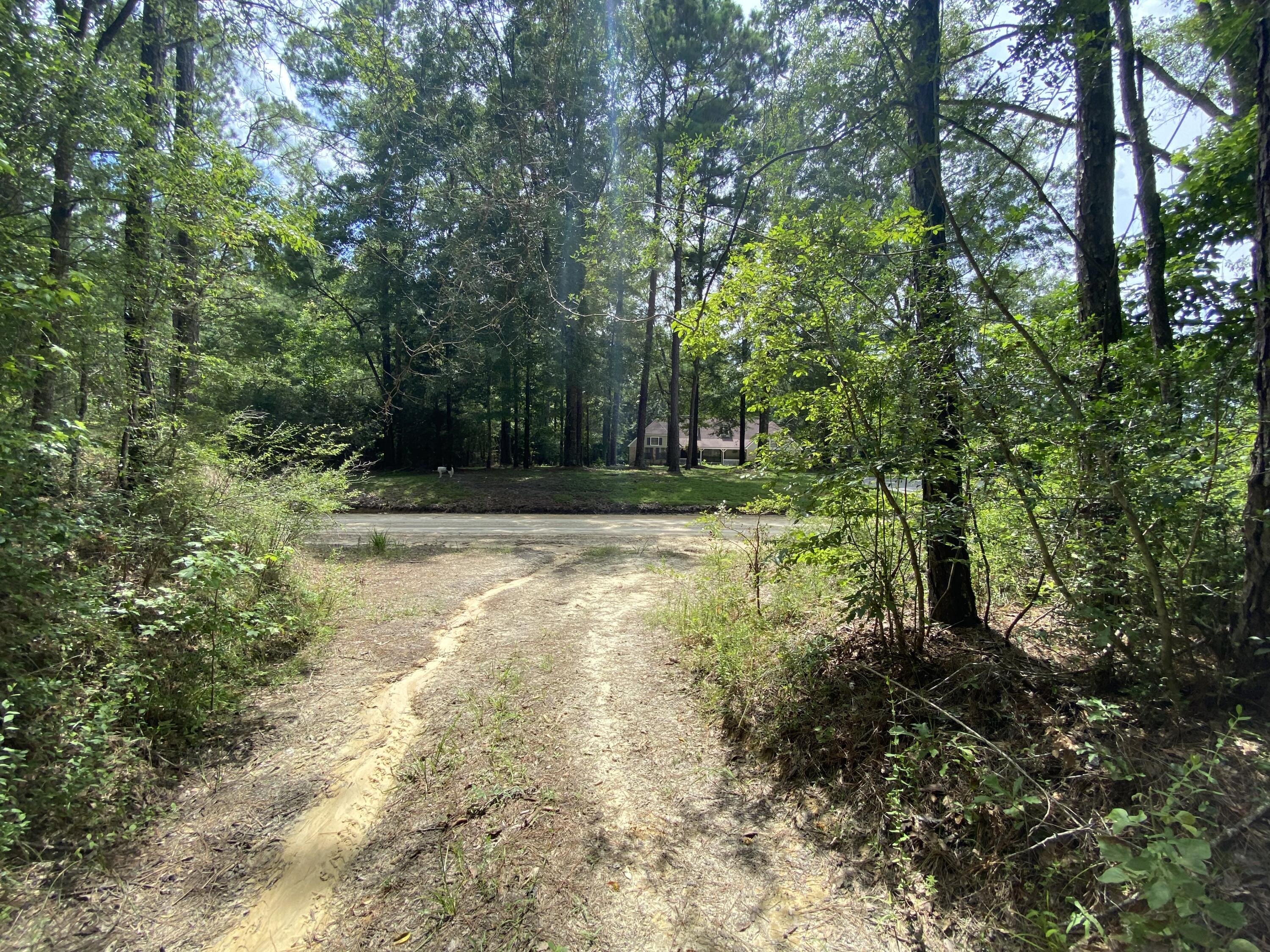 40-ac Henderson Bridge Road Opp, AL 36467 - Photo 9 of 26 a view of outdoor space with trees all around