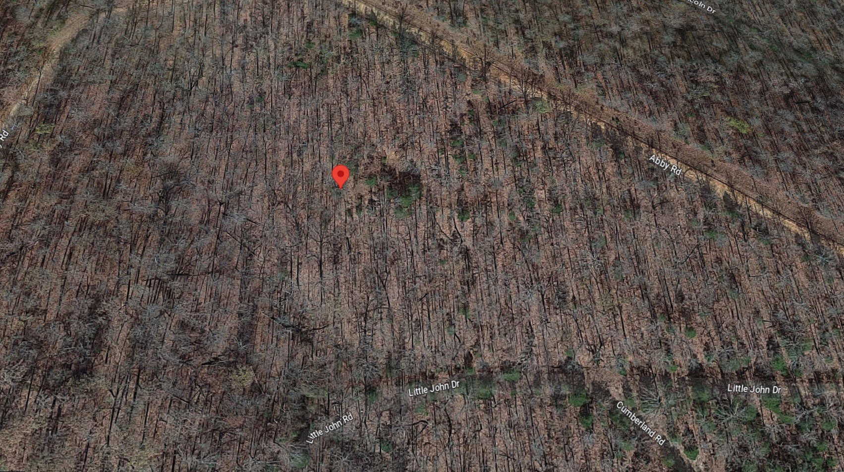 13 Abbey Road Other, AR 72542 - Photo 3 of 4 a view of a pathway