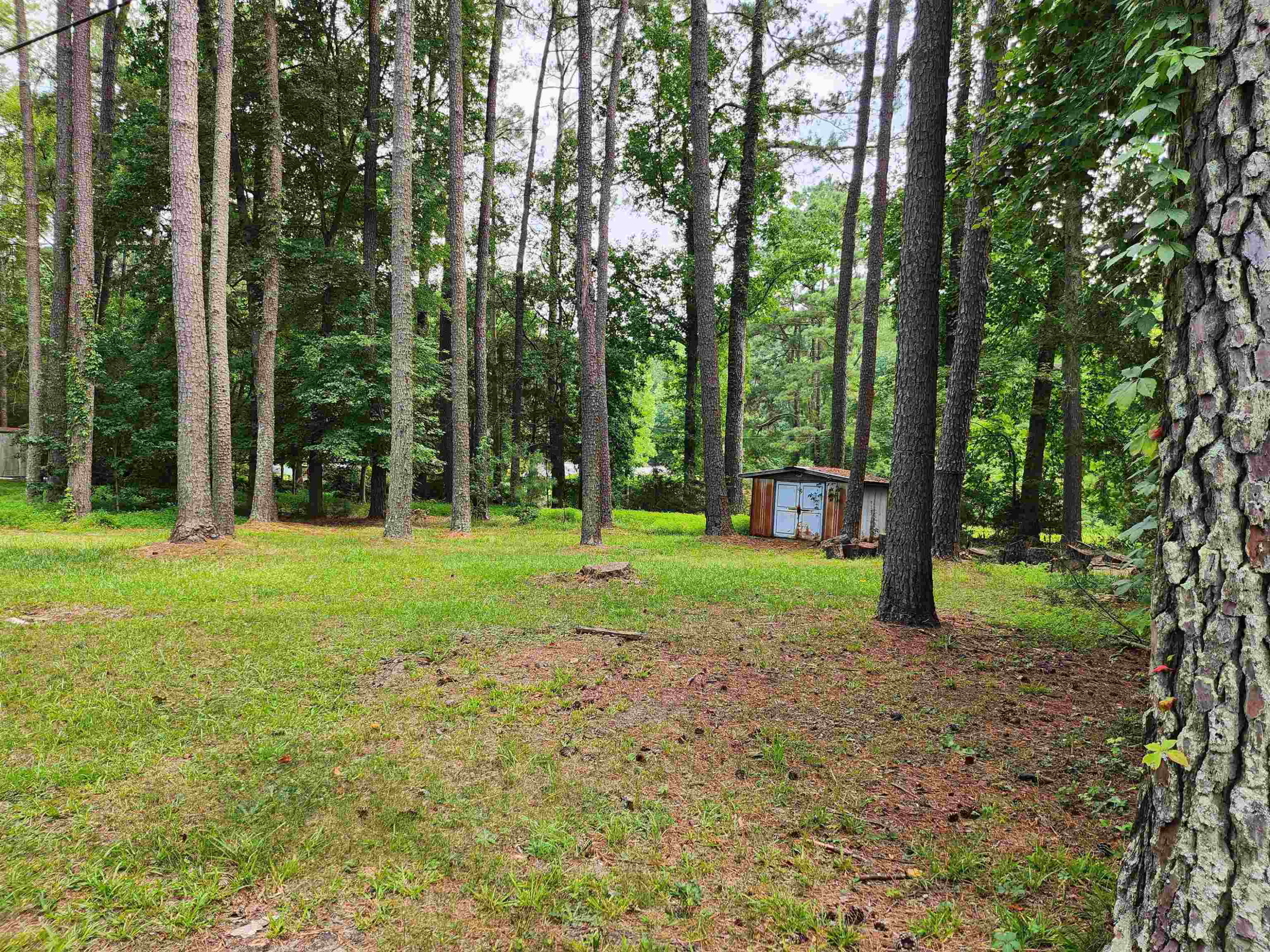 1507 Farlow Road Raleigh, NC 27603 - Photo 10 of 13 Photo 10