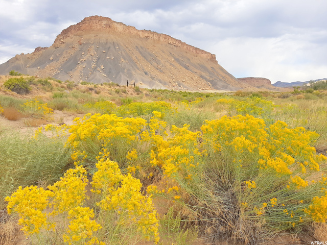 271 Thompson Cyn Road Green River, UT 84525 - Photo 4 of 26 Bright yellow Rabbit Brush blooms in the fall.