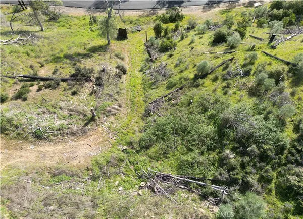 a view of a yard