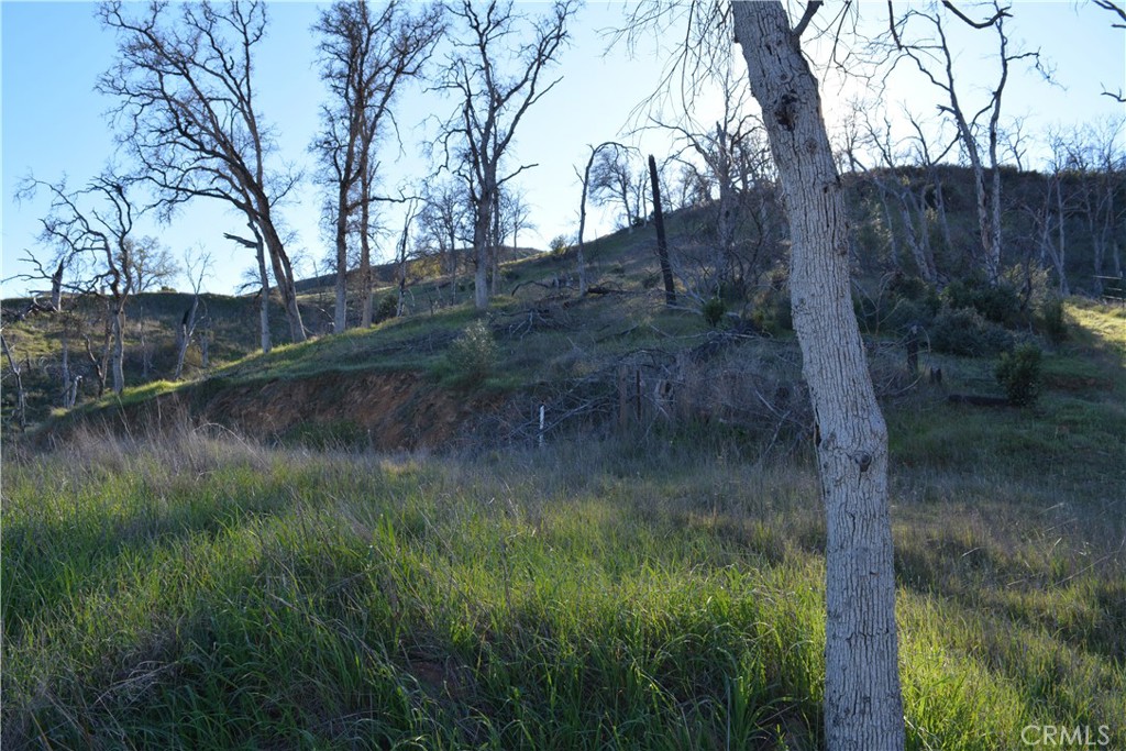 3515 Spring Valley Road Clearlake Oaks, CA 95423 - Photo 2 of 9