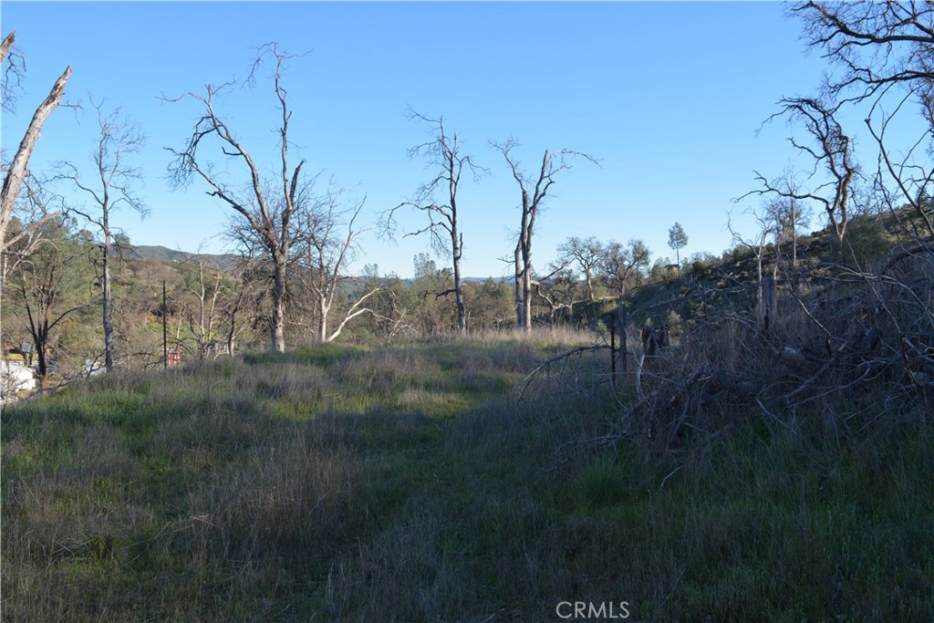 3515 Spring Valley Road Clearlake Oaks, CA 95423 - Photo 4 of 9