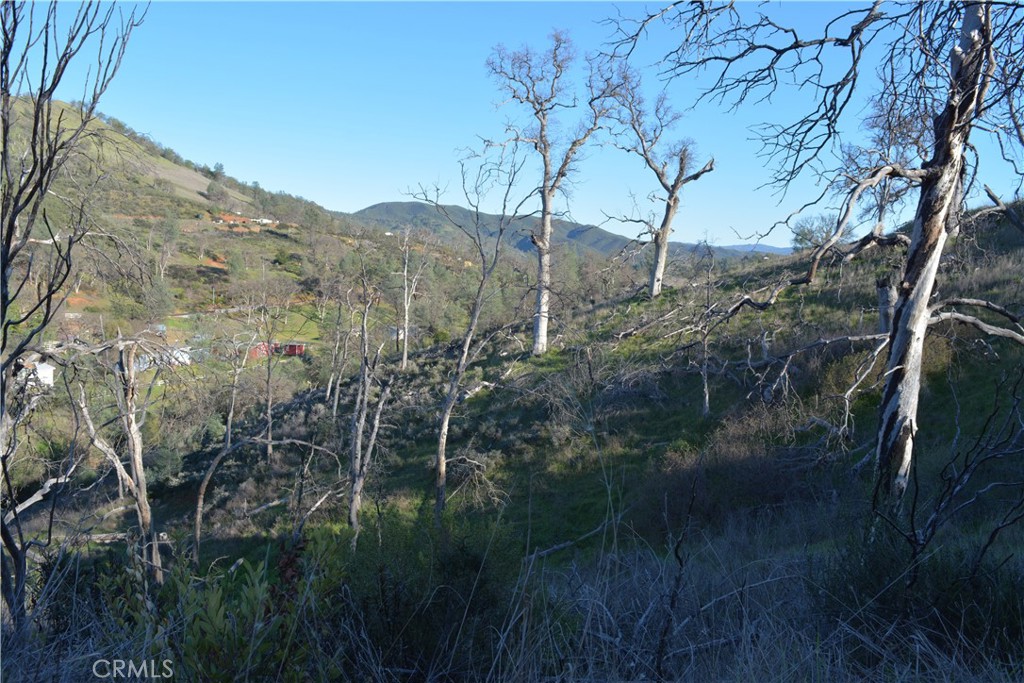 3515 Spring Valley Road Clearlake Oaks, CA 95423 - Photo 9 of 9