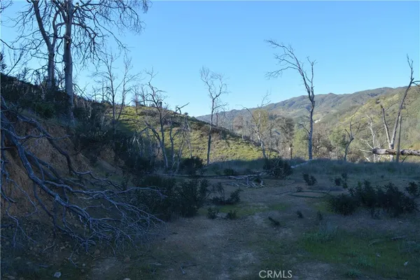 a view of a backyard of the house