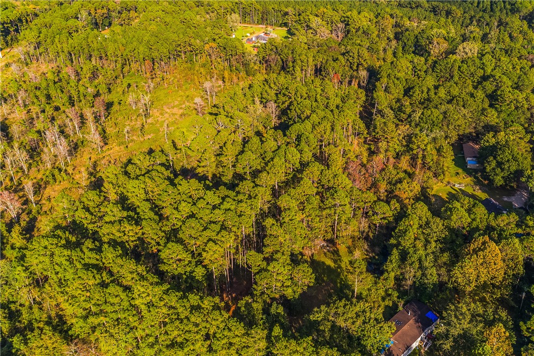 Key Lane Callahan, FL 32011 - Photo 5 of 13 a view of a yard