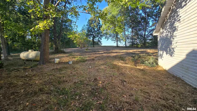 10365 Highway 146, Buncombe, IL 62912