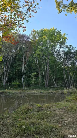 10365 Highway 146, Buncombe, IL 62912