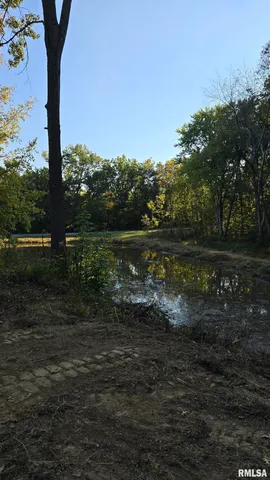 10365 Highway 146, Buncombe, IL 62912