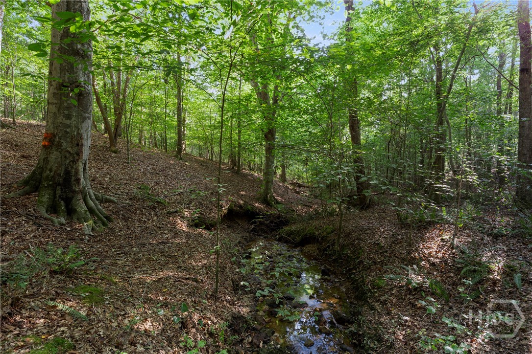 1348 Barwick Hill Road Comer, GA 30629 - Photo 12 of 40 Holly Creek on property