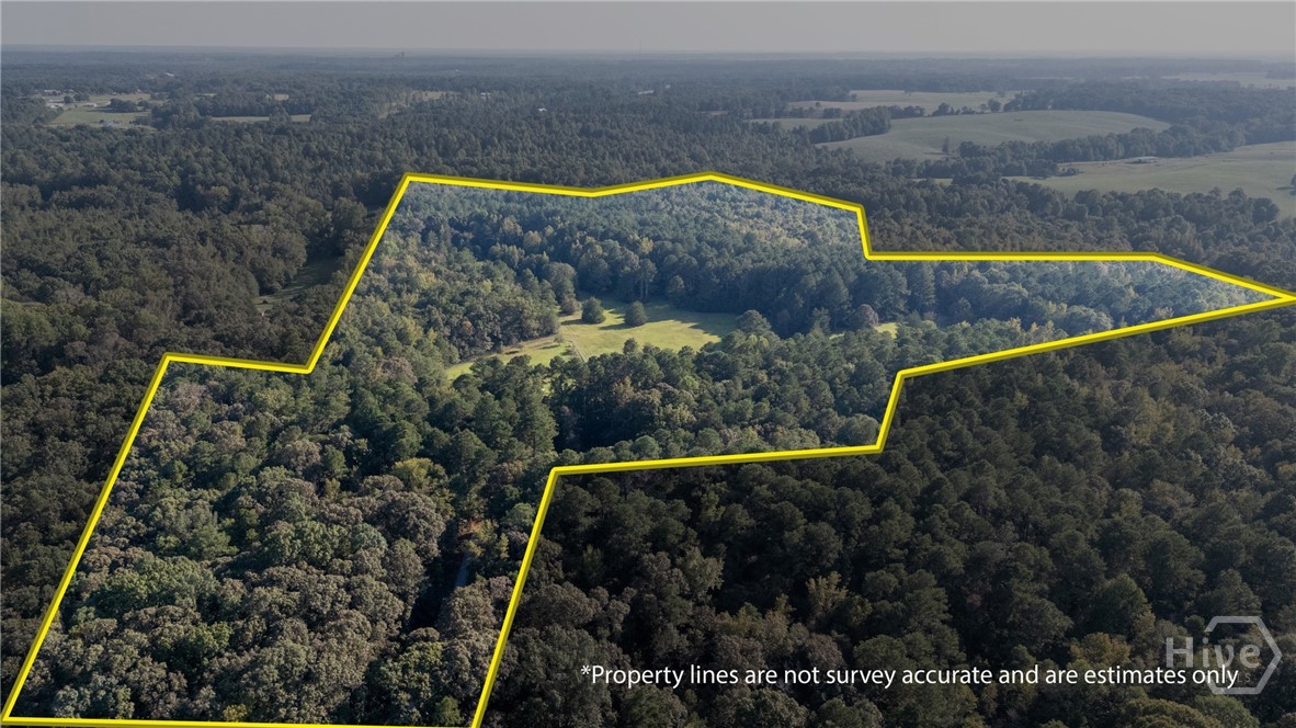 1348 Barwick Hill Road Comer, GA 30629 - Photo 13 of 40 Overview of the 80.79 acres parcel
