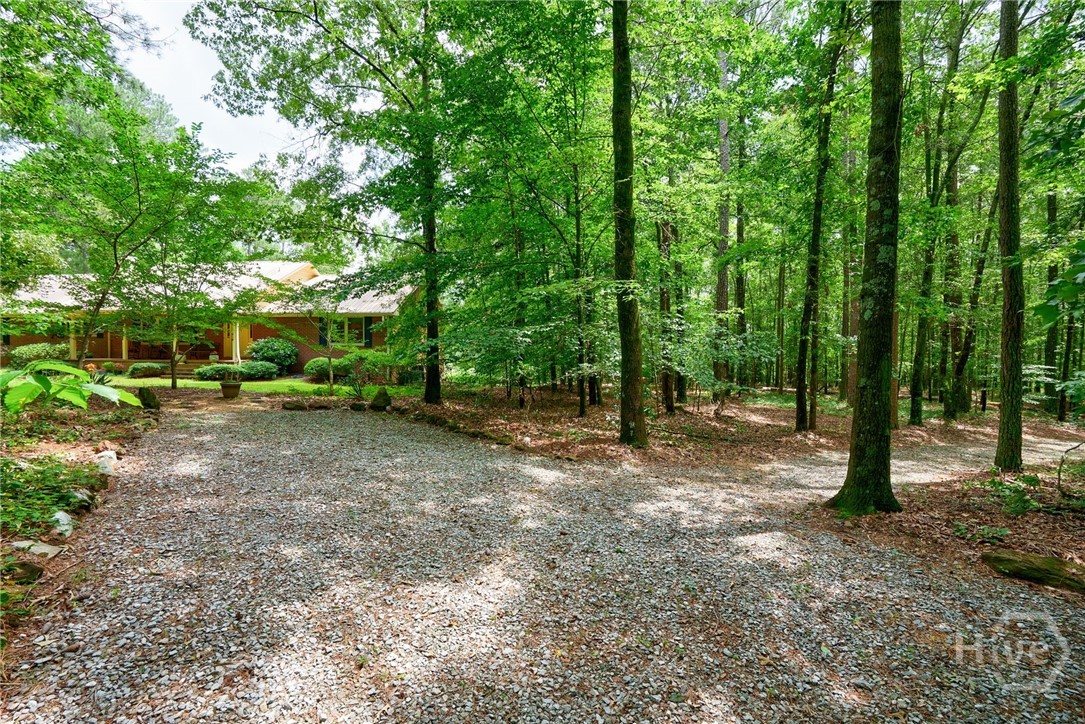 1348 Barwick Hill Road Comer, GA 30629 - Photo 16 of 40 Wooded areas also