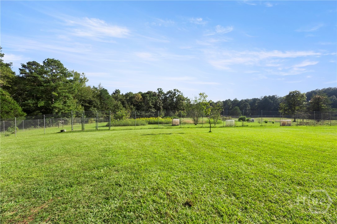 1348 Barwick Hill Road Comer, GA 30629 - Photo 2 of 40 Centipede Lawn for picnics!