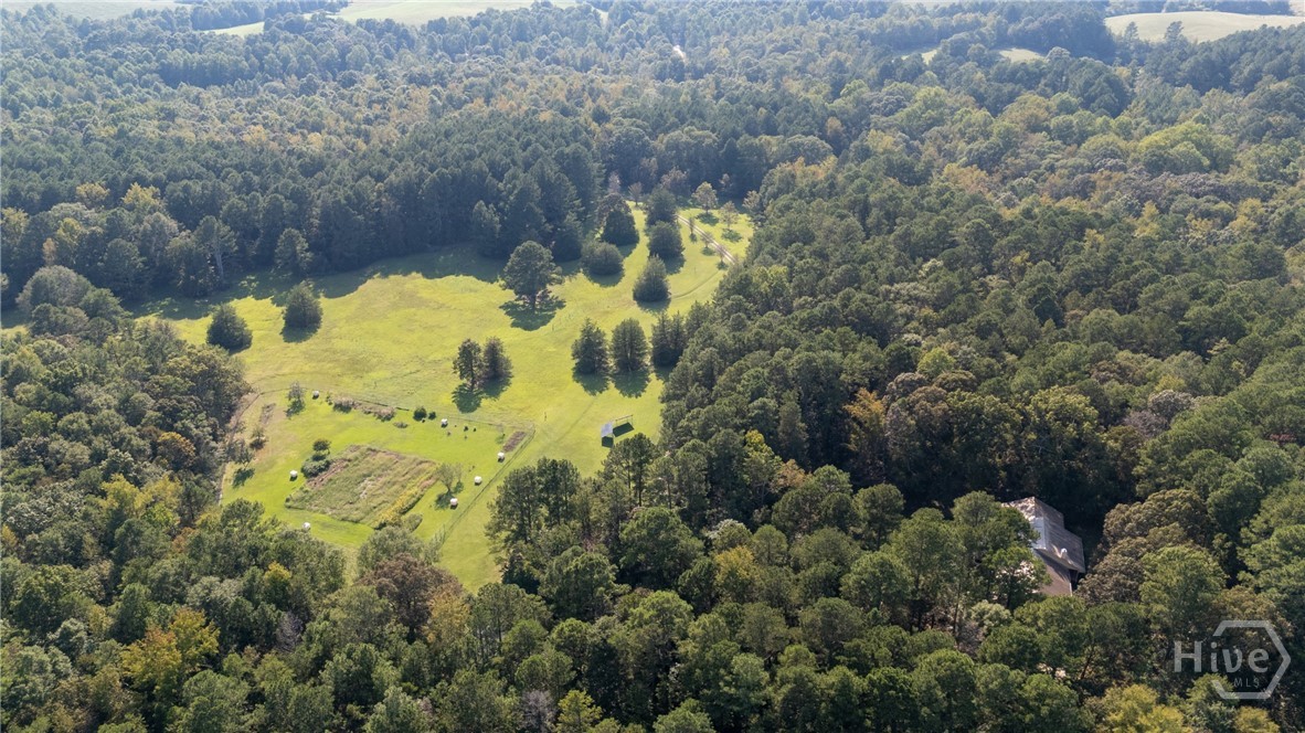 1348 Barwick Hill Road Comer, GA 30629 - Photo 26 of 40