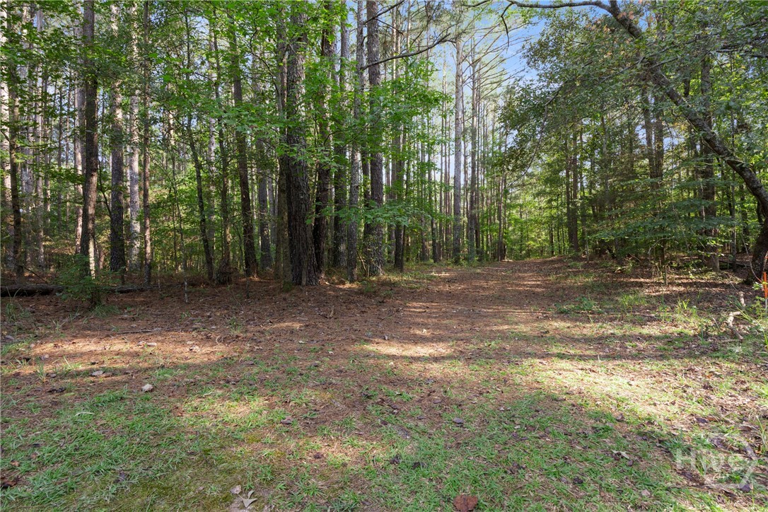 1348 Barwick Hill Road Comer, GA 30629 - Photo 27 of 40