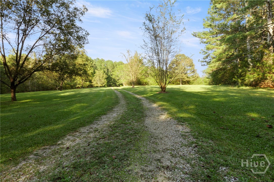 1348 Barwick Hill Road Comer, GA 30629 - Photo 28 of 40