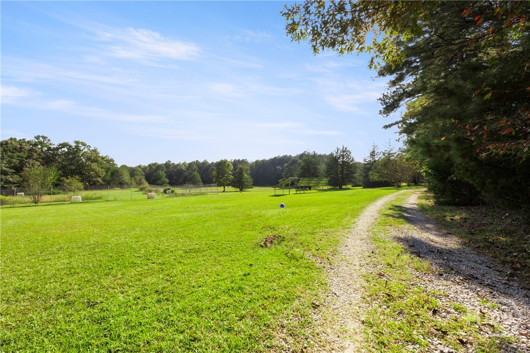 1348 Barwick Hill Road Comer, GA 30629 - Photo 3 of 40 Long driveway through the meadow!