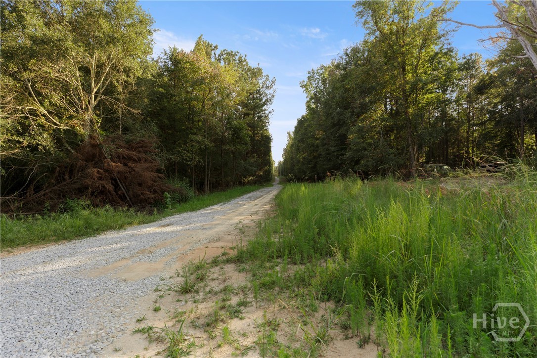 1348 Barwick Hill Road Comer, GA 30629 - Photo 32 of 40