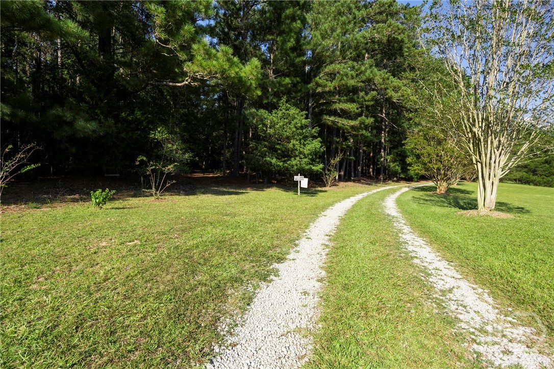1348 Barwick Hill Road Comer, GA 30629 - Photo 4 of 40 80.79 Private peaceful acres