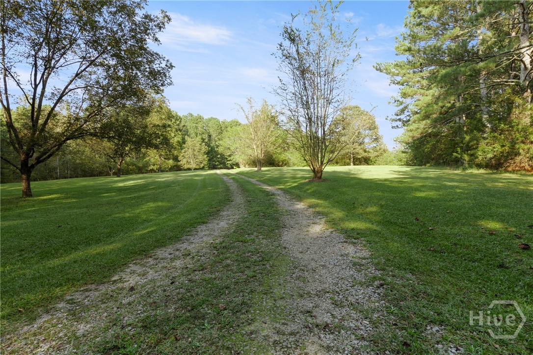 1348 Barwick Hill Road Comer, GA 30629 - Photo 6 of 40 Open & Wooded