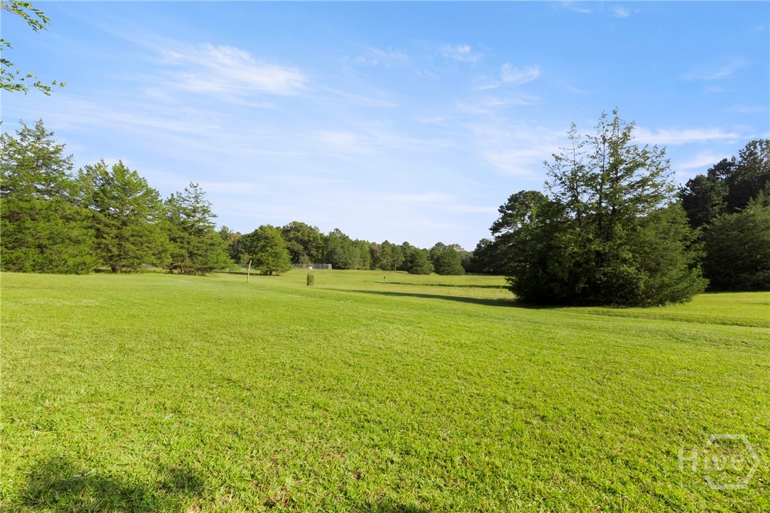 1348 Barwick Hill Road Comer, GA 30629 - Photo 7 of 40 Peaceful meadow