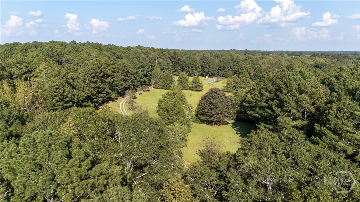 1348 Barwick Hill Road Comer, GA 30629 - Photo 8 of 40