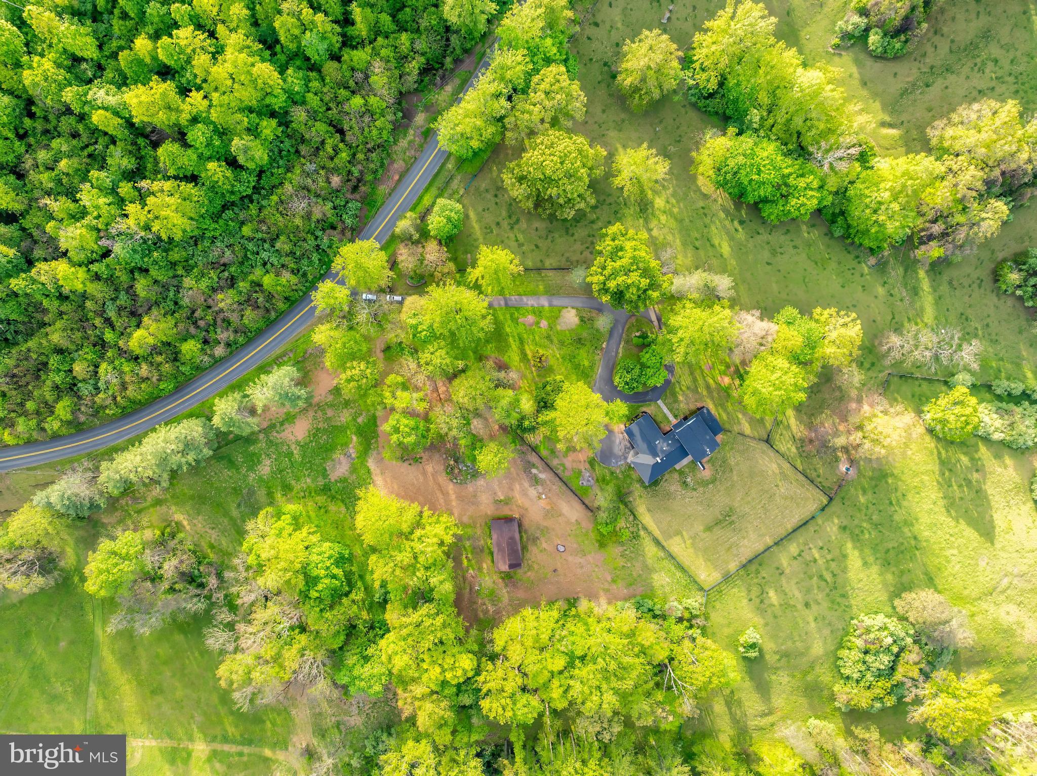 6891 Wilson Road Marshall, VA 20115 - Photo 29 of 118 Serene retreat amidst lush greenery.