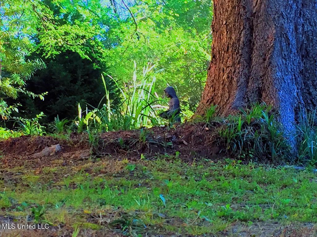 1016 Main Street Natchez, MS 39120 - Photo 28 of 32 2019000616_25
