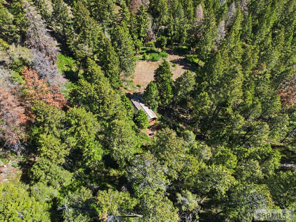 21 Pinetree Drive Salmon, ID 83467 - Photo 65 of 71