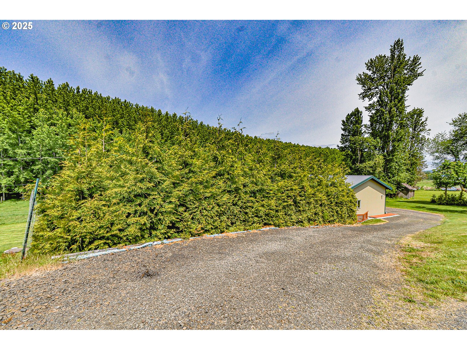 78135 Point Adams Road Clatskanie, OR 97016 - Photo 46 of 46 Driveway