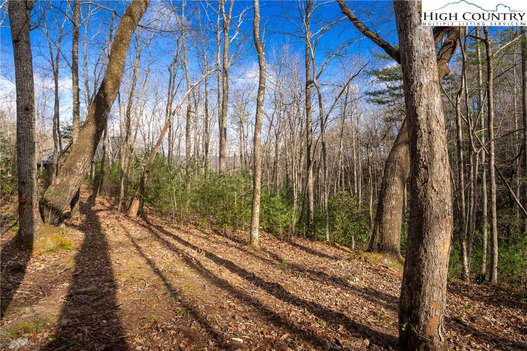 180 Marigold Road Boone, NC 28607 - Photo 3 of 21