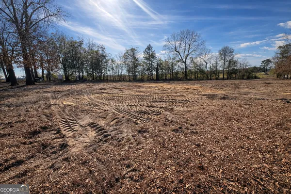 a view of dirt field with trees
