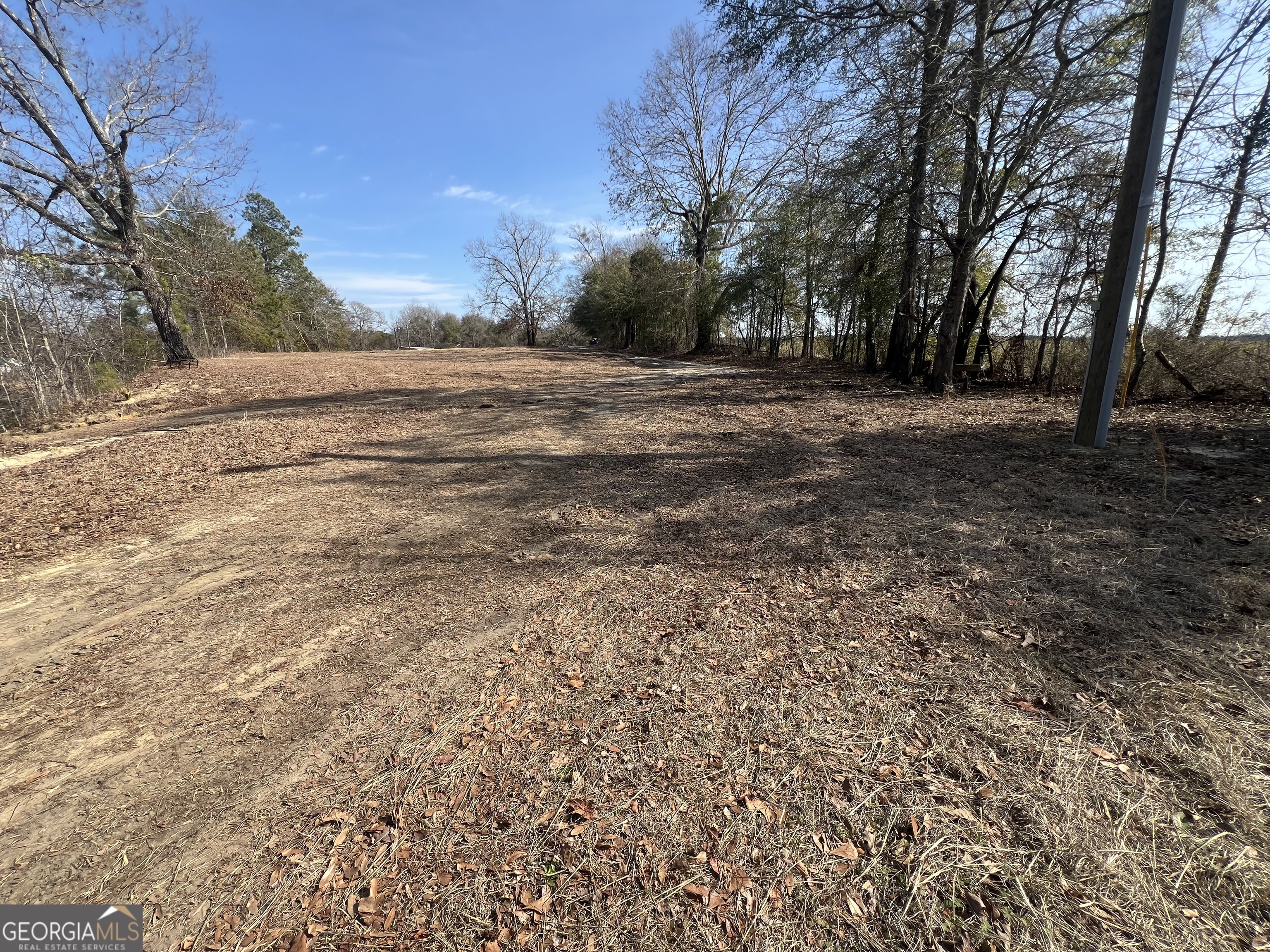 4539 Lewis Church Road Millen, GA 30442 - Photo 3 of 3